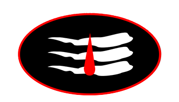 trilochanprojects.com